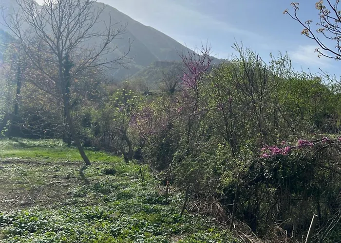 Jani Gasthuis Përmet