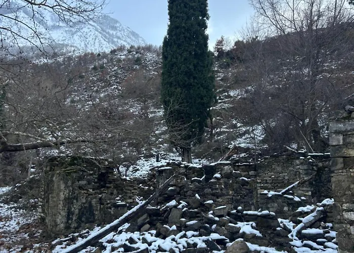 Jani Gasthuis Përmet