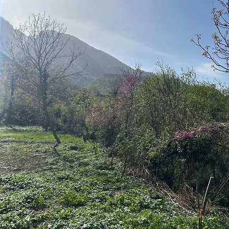 Jani בית הארחה Përmet