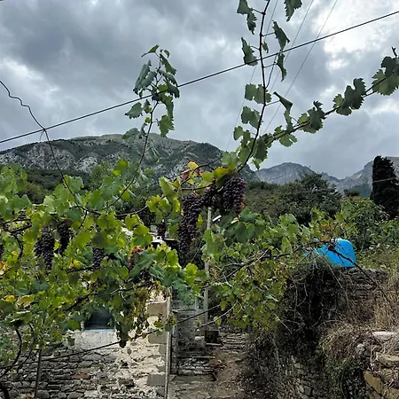 בית הארחה Jani