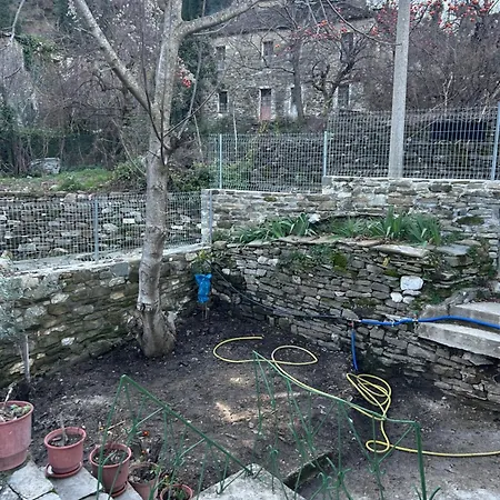 Jani בית הארחה