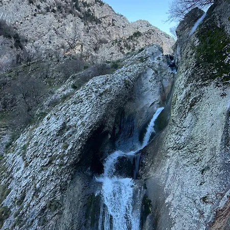 Jani בית הארחה *