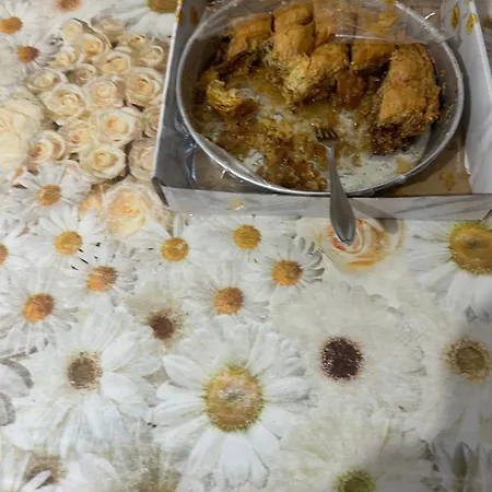 Guest house Jani