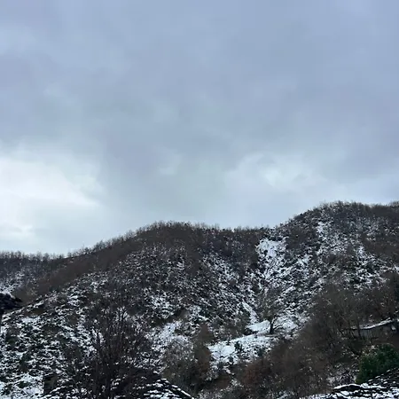 Jani Πανσιόν *