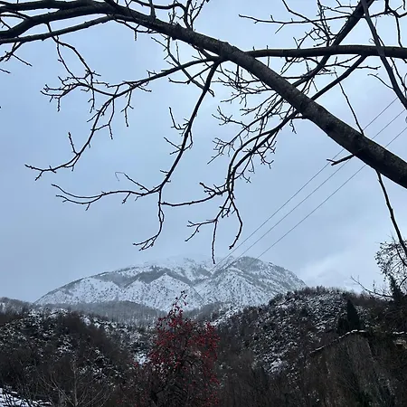 Jani בית הארחה *