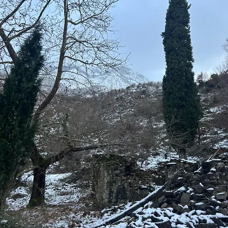 Πανσιόν Jani *