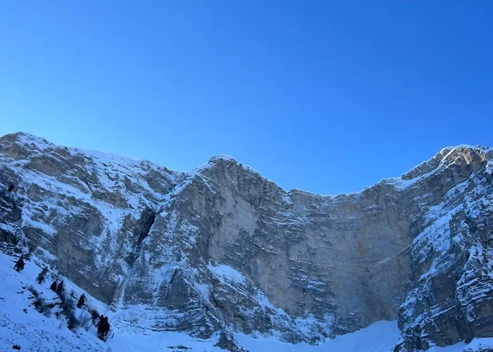 Jani Affittacamere *